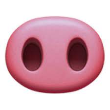 The Pig Nose Emoji On Iemoji Com Pig Nose Pig Emoji Emoji