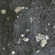 Maybe you would like to learn more about one of these? å®‰å±±å²© å¿«æ‡‚ç™¾ç§'