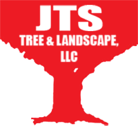 All jts offices have reopened to the public! Jts Tree Landscape Llc