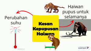 Sks24 Cikgun Sejarah
