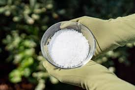The benefits of epsom salt in the. Can Epsom Salts Help Your Garden Thrive