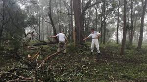 The alarm was raised by the pilot who managed to escape from the helicopter and was found seriously injured. Two Dead In Helicopter Crash In Nsw Southern Highlands The Islander Kingscote Sa