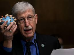 Nobody was expecting omicron — this one really was a curveball': Francis  Collins, National Institutes of Health's outgoing director, issues warning  to Americans
