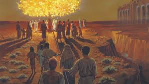 Maybe you would like to learn more about one of these? What Fruit Is White Book Of Mormon Central