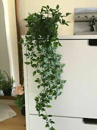 Crescere in casa una pianta è sempre una festa. Fiori E Piante Finte Ikea Per La Decorazione Della Casa Acquisti Online Su Ebay