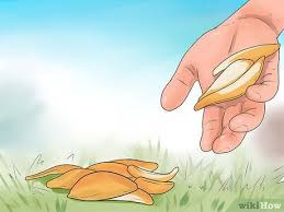 What do you do if you want to stop your cat pooping in your garden? 3 Ways To Prevent Cats From Pooping In The Garden Wikihow