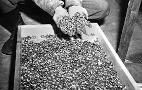 Image result for holocaust photos