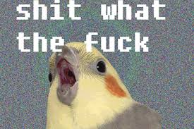 what the fuck  gif gif animation animated pictures  funny pictures   best jokes comics images video humor gif animation - i lold
