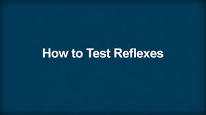 Image result for Reflex Exam
