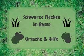Pilze im rasen sind hierzulande nichts ungewöhnliches, denn es gibt hutpilze, die außerhalb von wäldern wachsen. Schwarze Flecken Im Rasen Ursache Hilfe
