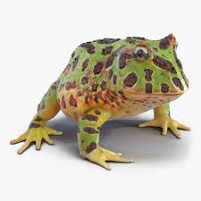 Pacman Frog 3d Model Pacman Frog Frog Pacman