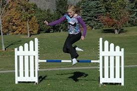 Kid Horse Jumps Pretend Play Jump Courses By Premier Equestrian Horse Jumping Hobby Horse Hobby Horses