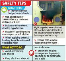You need to keep them warm, set up a regular feeding schedule, help them to eliminate and keep both the pups and their environment clean. Never Use Room Heaters To Keep Pups Warm Experts Kolkata News Times Of India