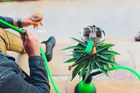 Can You Smoke Weed From A Hookah Medicanco