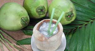 Further, it contains a lot of enzymes after learning about why is coconut water good for you, it is apparent that you would love to include it in your diet. What Are The Benefits Of Drinking Coconut Water During Pregnancy Babycenter India