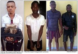 Image result for images of the kidnappers that kidnapped students and teachers at the Turkish school