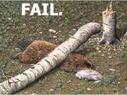 Home fail 25 funny photoshop fails. Funny Photoshop Fails Animals