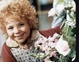 ANNIE is the Broadway musical based upon the Harold Gray comic strip,  LITTLE ORPHAN ANNIE. Last night ANNIE LIVE was