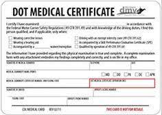 See full list on careertrend.com 21 Dot Medical Examiner Dot Physicals Ideas Medical Medical Examination Physics