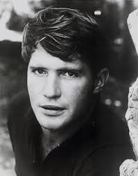 Noteworthy Alumni in the Field of Entertainment