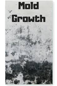 Feb 25, 2021 · what to know about painting over mold and mildew. 5 Best Ways To Prevent Mold In Your Basement Enviroklenz