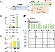 Engineering the L-tryptophan metabolism for efficient de novo biosynthesis  of tryptophol in Saccharomyces cerevisiae