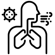 In heel 2020 overleden bijna 169 duizend mensen, ruim 15 duizend meer dan verwacht. Maastricht In Cijfers Corona Maastricht