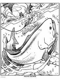 A pop of color will bring this printable salmon are property and copyright of their owners. Salmon Fish Crayola Com