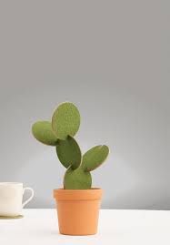 Using the right corks and stoppers can save wine from cork residue, and help keep gases and moisture from affecting the quality of the wine. Cactus Coaster Cork Create Cacti Out Of Interlocking Drink Mats