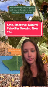 Paige Burson FNTP (@paigeforwellness)