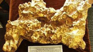 I want you to post a pretty picture of gold ingots. Welcome Stranger World S Largest Gold Nugget Remembered Bbc News