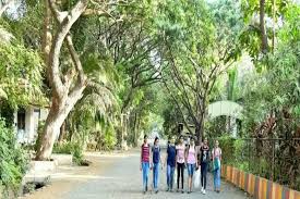 Sndt Courses Fee Cut Off Ranking Admission Placement Careers360 Com