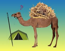 Doctors say that those who find the camel will be far from if you see the elephant in the given picture, share it with your friends on whatsapp, facebook and other social networking sites and challenge them to find it. 347 Not Rocket Surgery Featuring Kari Sullivan And William Black Talk The Talk