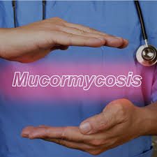 Evolution of the disease and treatment options. Mucormycosis In Covid Patients Fungal Infection Treatment In Bangalore