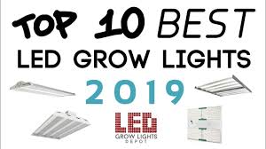 This pack of grow lights comes with several tubular lights instead of one square light, allowing you to customize its coverage layout. Top 10 Best Led Grow Lights 2019 Youtube