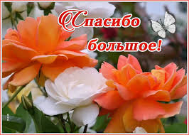 �������� ������� ������� | �������� ������