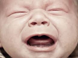 Want The Baby To Stop Crying Be Danish Or Don T Breastfeed