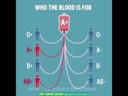 Donor And Acceptor Of Blood Groups Youtube