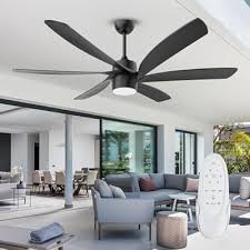 Aunlpb 64 Inch Outdoor Ceiling Fans For