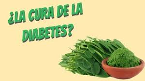 ¿por qué no se cura la diabetes? La Moringa Cura La Diabetes Mitos Y Realidades Youtube