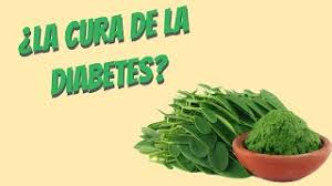La tipo 1 y la. La Moringa Cura La Diabetes Mitos Y Realidades Youtube