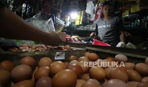 We did not find results for: Harga Telur Ayam Ras Di Ambon Turun Republika Online