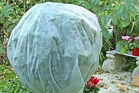 Novembre Au Jardin Jardins Jardinage Potager