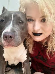 Pitbulls making friends with other dogs