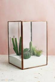 Glass Terrarium Display Case Square Copper Large Terrarium Display Large Glass Terrarium Glass Terrarium