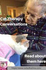 Can Cats Eat Peanut Butter Product Id 2143931299 Therapy Cat Benadryl For Cats Cats