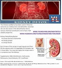 Pin On Young Living Health Detox