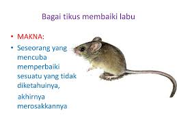 Hendak membetulkan barang yang tiada diketahui, akhirnya semakin rosak. Ppt Senarai Peribahasa Powerpoint Presentation Free Download Id 1945284