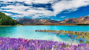 Hd Wallpaper Lake Tekapo South Island New Zealand Oceania Wallpaper Flare Discover bags, jewelry and dresses in spades. hd wallpaper lake tekapo south island