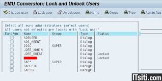 Reset ddic password in client 000 hana. Ewz5 Emu Conversion Lock Unlock Sap Users